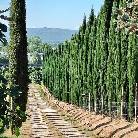 Villa Camugnano Farm Rapolano Terme Exterior foto